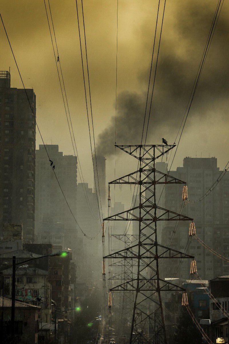 CryptoGoos tweet media