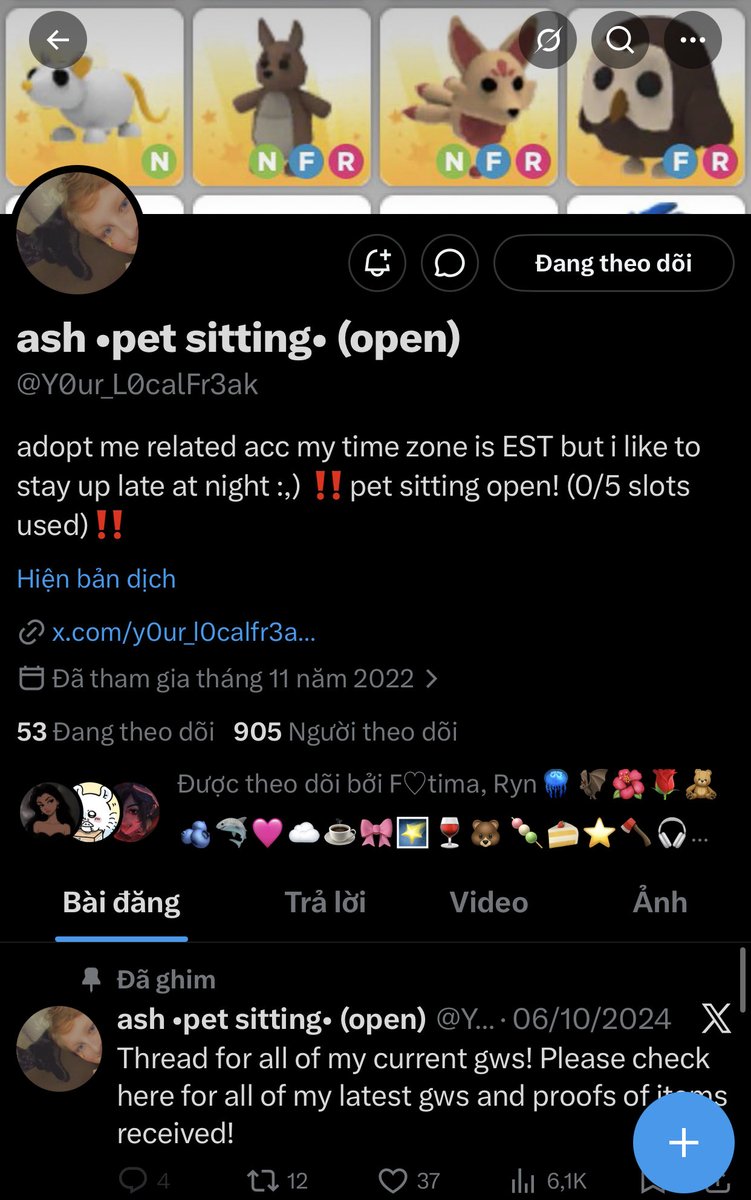 Lily Lisiema tweet media