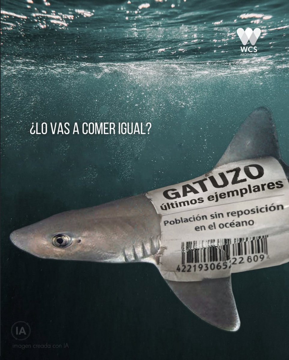 Soti 🌿🇦🇷🏳️‍🌈 tweet media