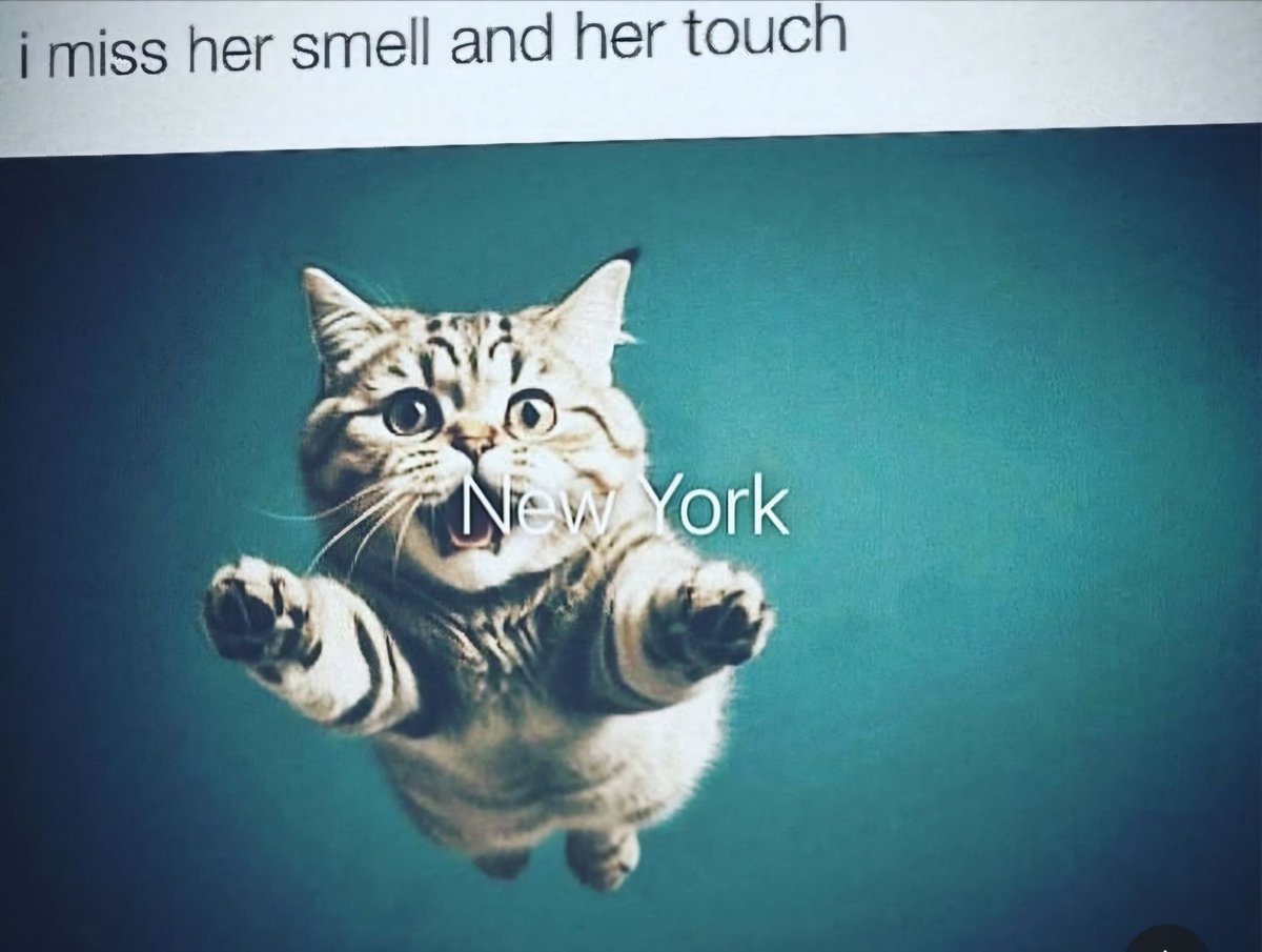 hashtag offline tweet media