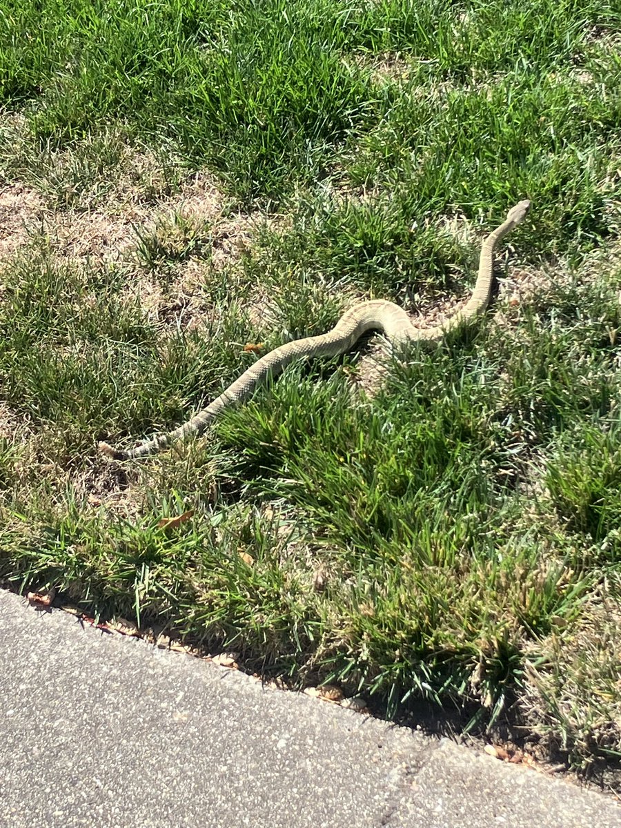 Will, politically homeless once again tweet media