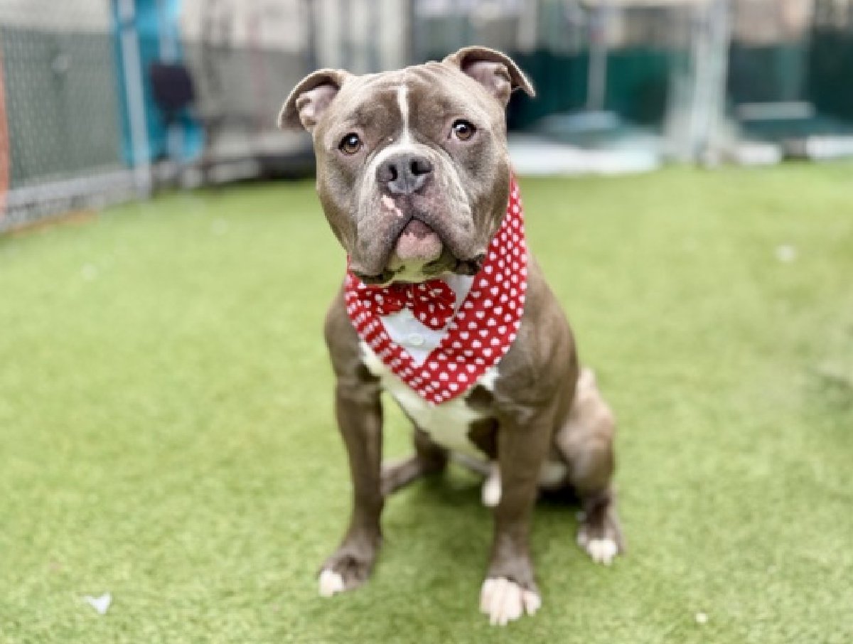 Not the Same tweet media