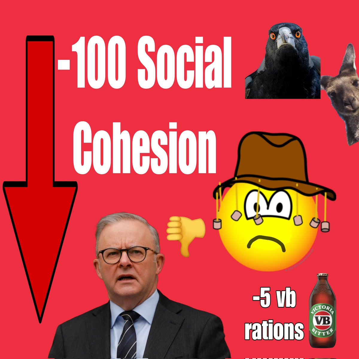 Quokka & Co tweet media