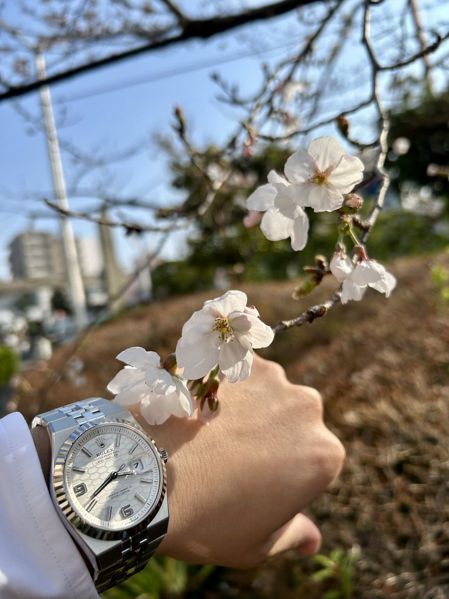 T Time & Tide tweet media