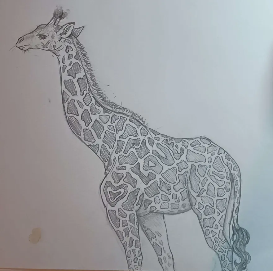 adrian ʚღɞ tweet media