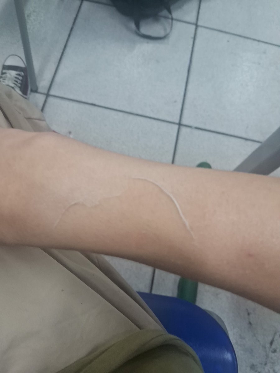 ΛBBY! || NEFER CHARTS 🐈‍⬛ tweet media