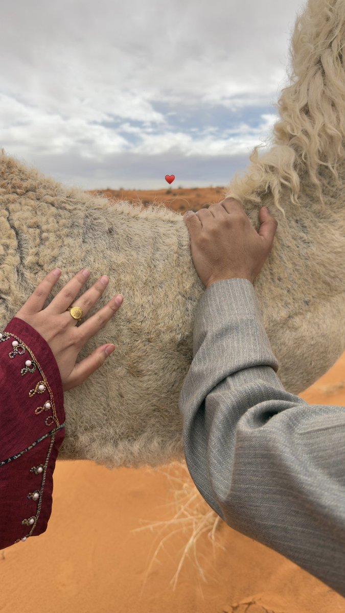 ًًٍٍٍَََُِ tweet media