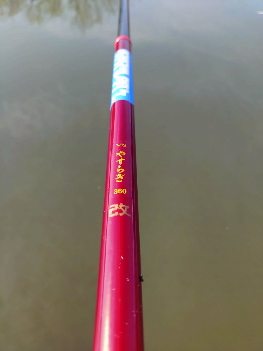 三流鯉師 tweet media