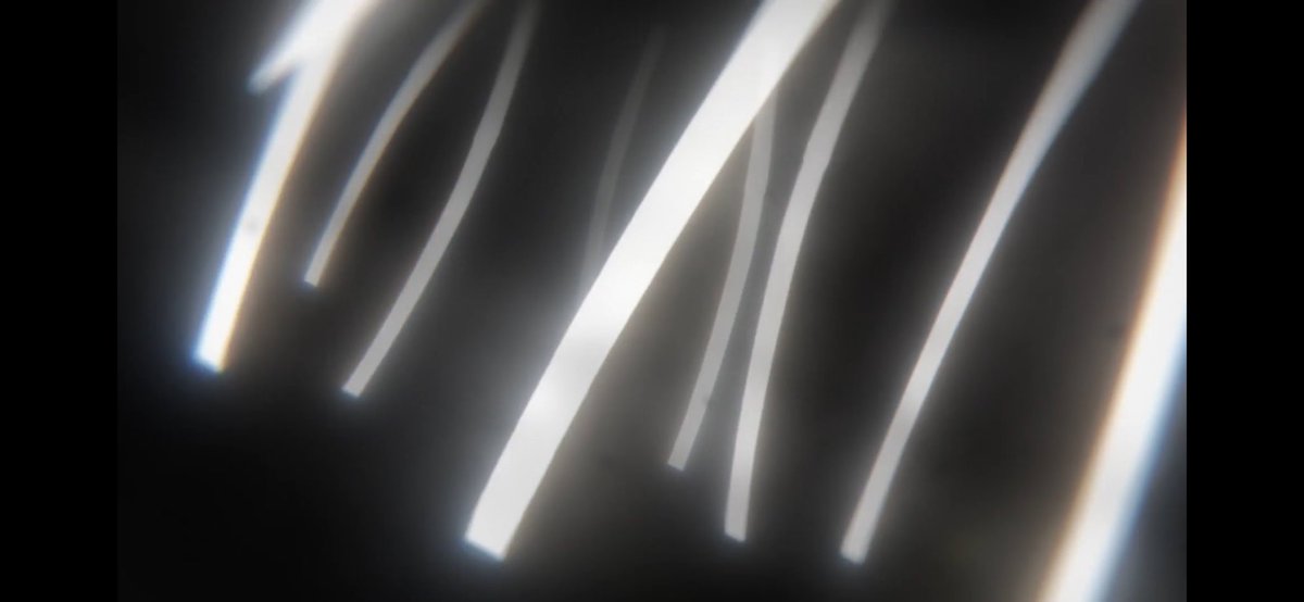 しんのす tweet media