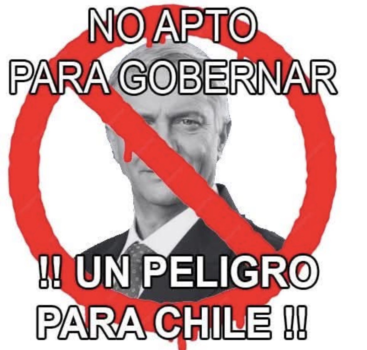 patricia olivares 🌳 tweet media