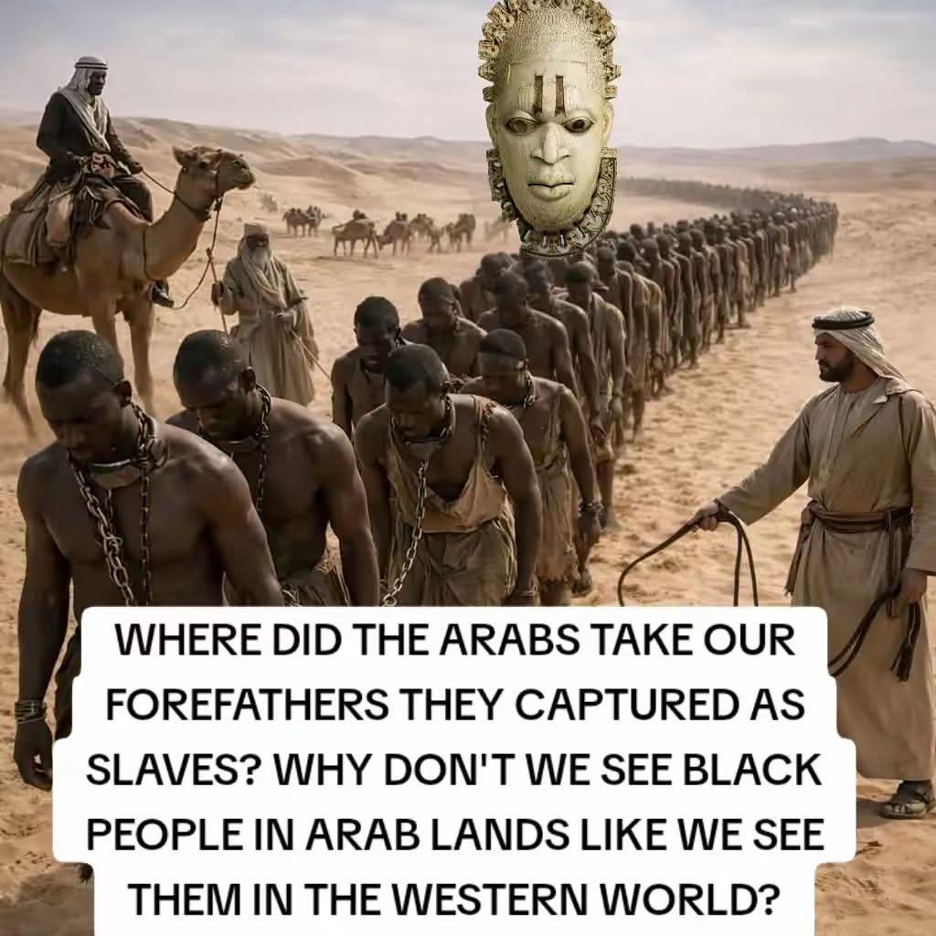 WE HAVE NO FRIENDS/BY ANY MEME NECESSARY tweet media