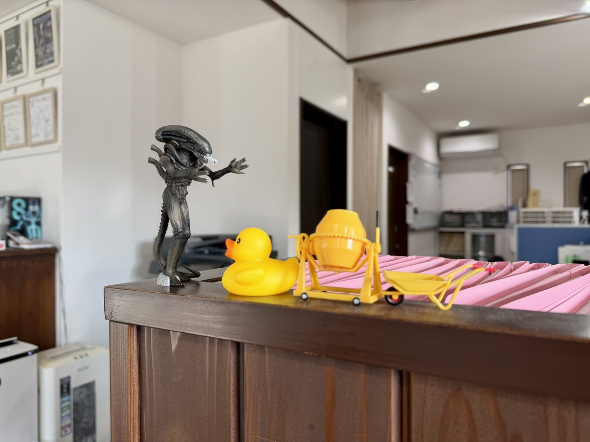 ハリーさん🦔 tweet media