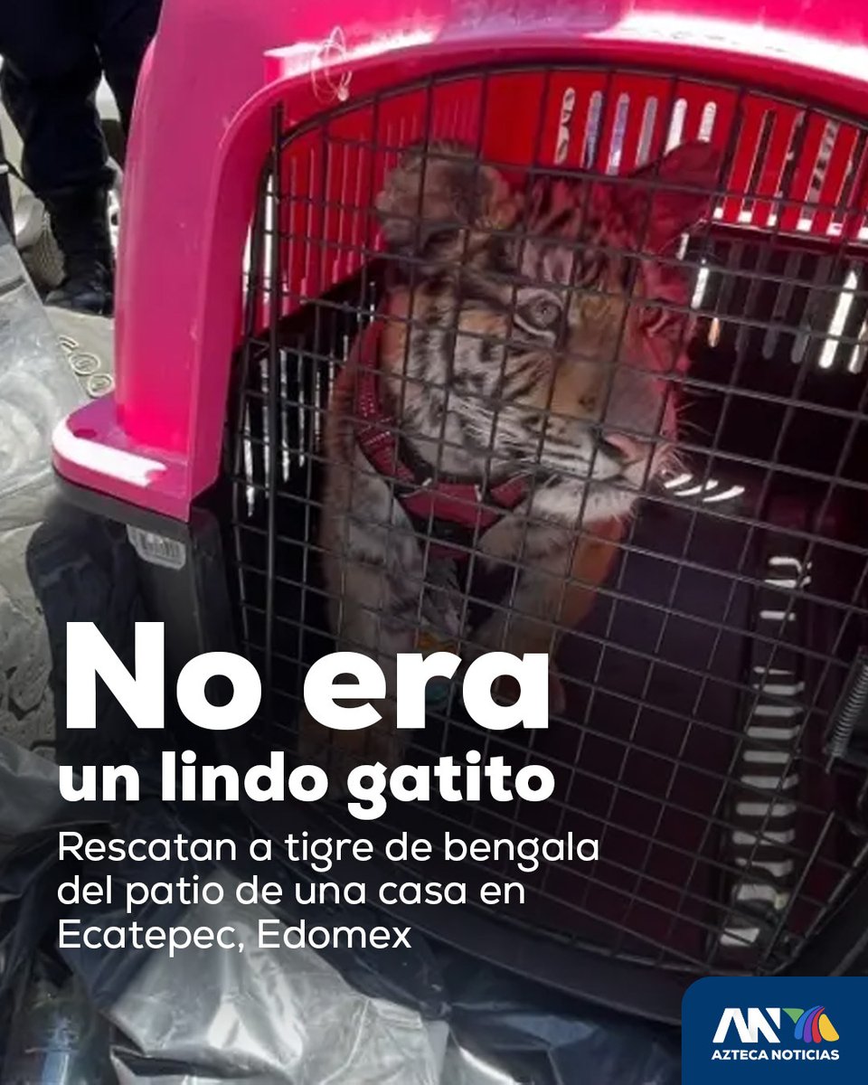 Azteca Noticias tweet media