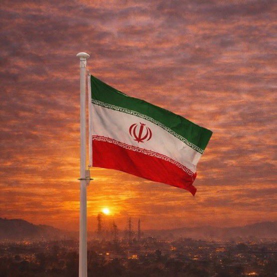 Crypto Rover tweet media