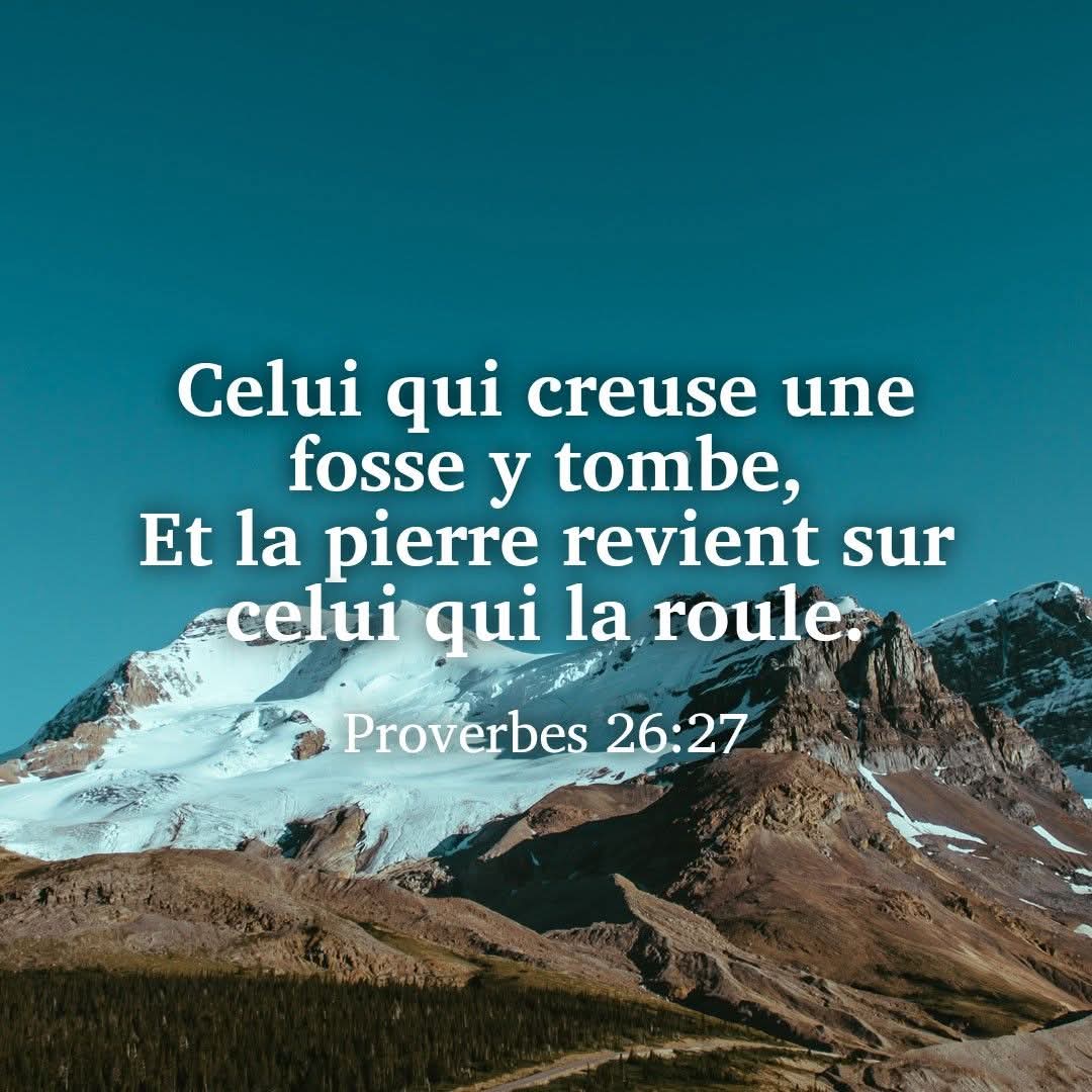 Docmanoto tweet media