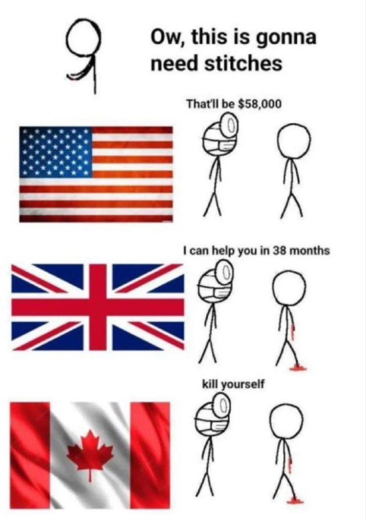 The Rabbit Hole tweet media