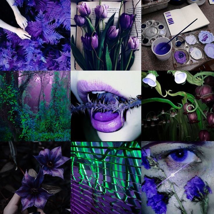 violet✧*｡ tweet media