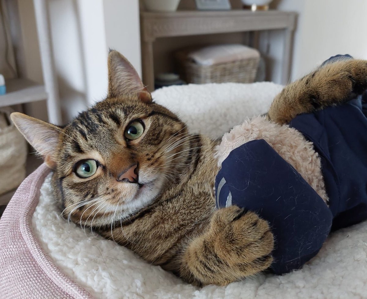 John James tweet media