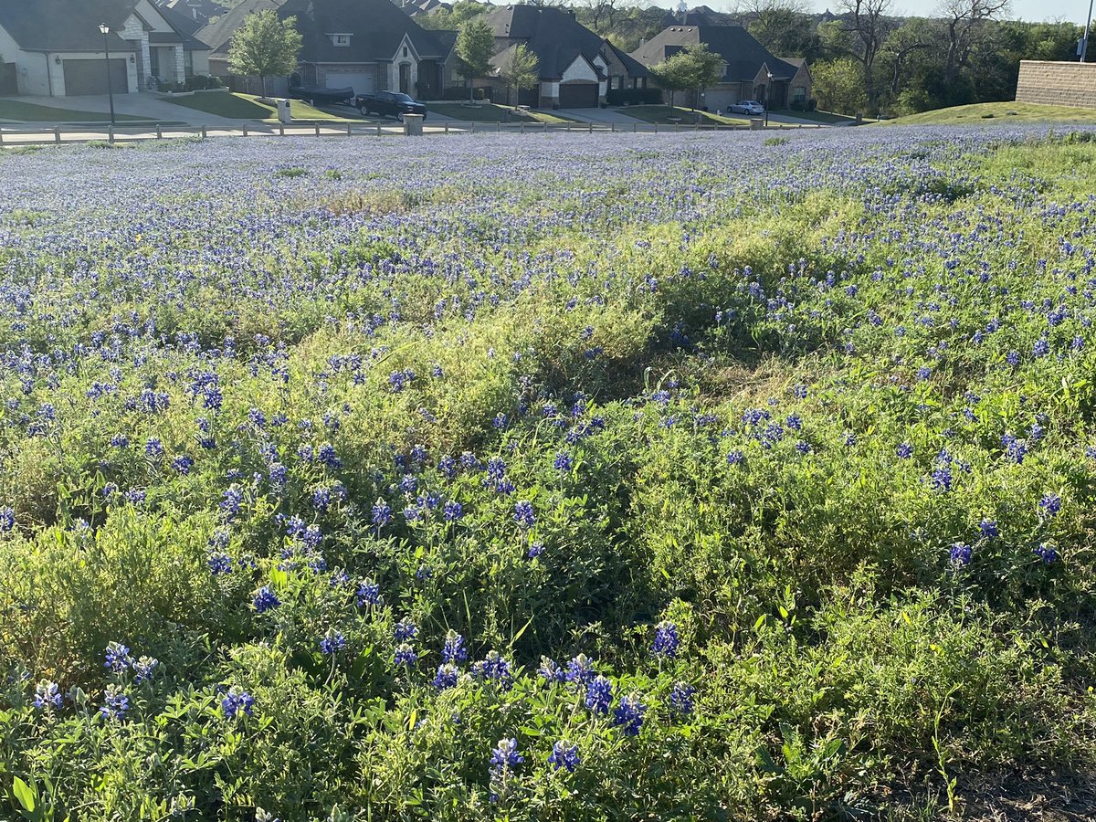 DiamondWerewolf💎🐺🔞 Comms FULL 7/7 tweet media