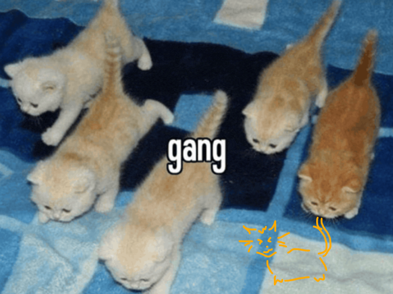 Ashlyn ⪩ ⪨ tweet media