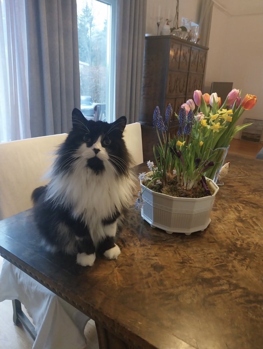 The Biohacker🥛🌞 tweet media