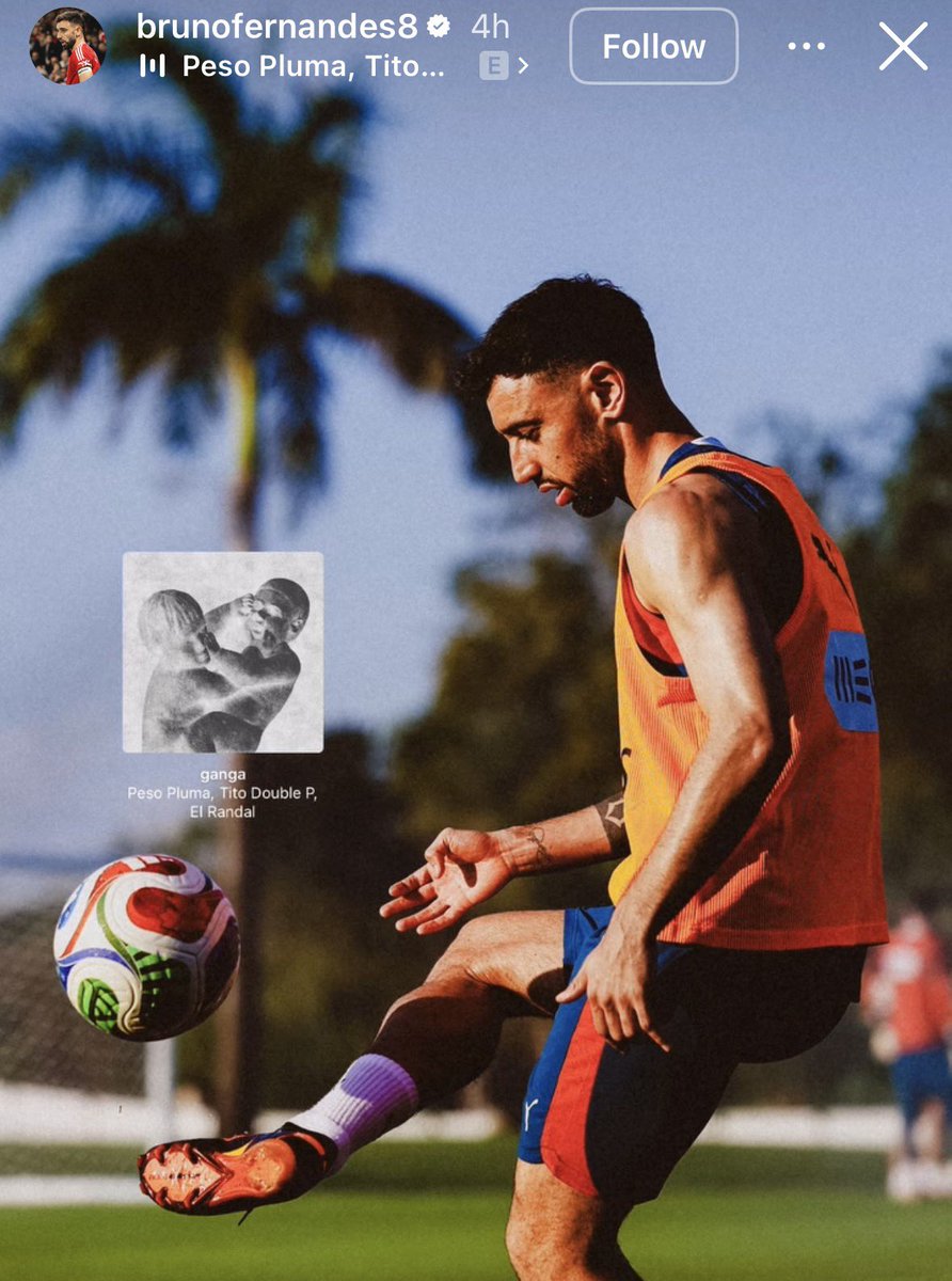 All Fútbol MX 🇲🇽 tweet media