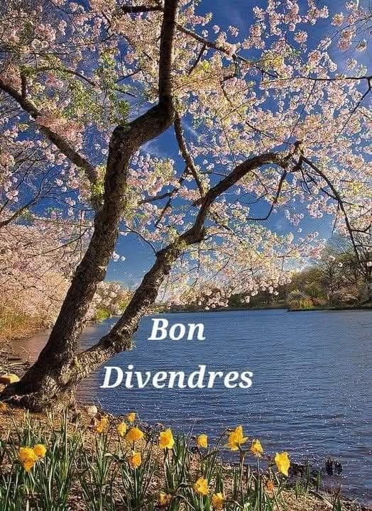 nascudaalasegarra tweet media