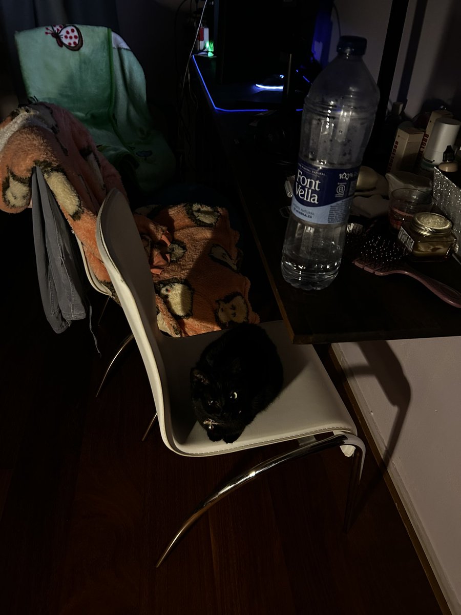 vivi ୨ৎ tweet media