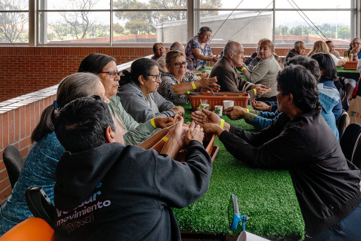 CulturaenBta's tweet photo. ¿Sabías que hoy más de 100 personas mayores están encontrando bienestar a través del arte? 🌈

En la localidad de Tunjuelito nos reunimos en la Biblioteca El Tunal para vivir la segunda parada de la #RutaDelBienestar, una iniciativa de la Alcaldía Mayor de @Bogota en el marco de las colaboraciones entre @CulturaenBta y @SectorSalud y sus estrategias #EstarBienBogotá y  #MASBienestar. 🌱

🎨 Un espacio donde el arte se convierte en una herramienta para expresar emociones, soltar cargas y reconectar con el bienestar. Experiencias que también fortalecen los vínculos y el cuidado colectivo. 👏🏻✨