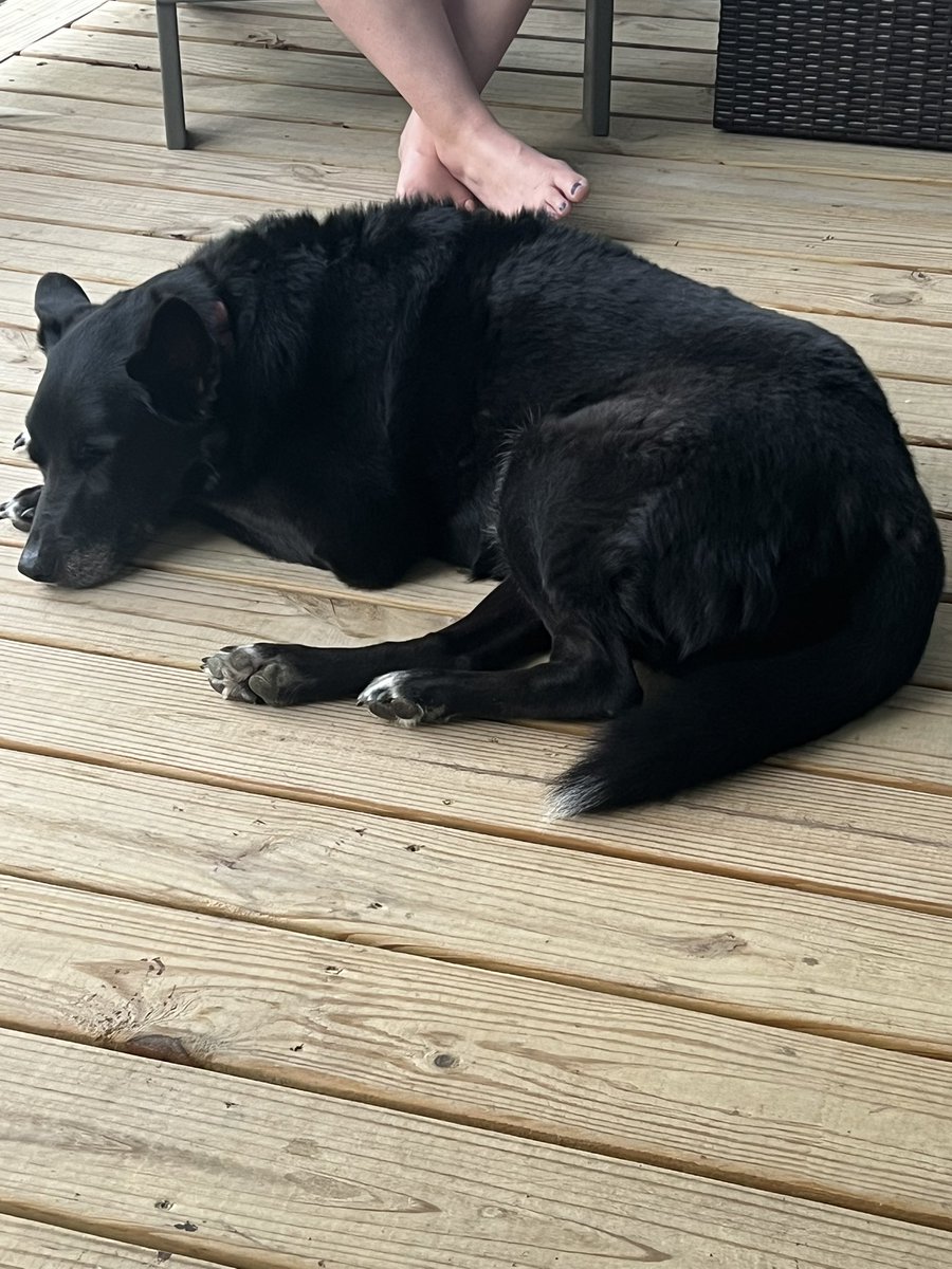 Badger Man tweet media