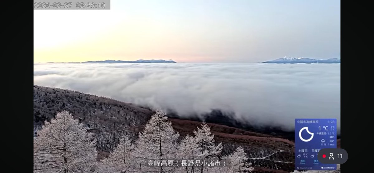 こもろ観光局＠長野県小諸市 tweet media