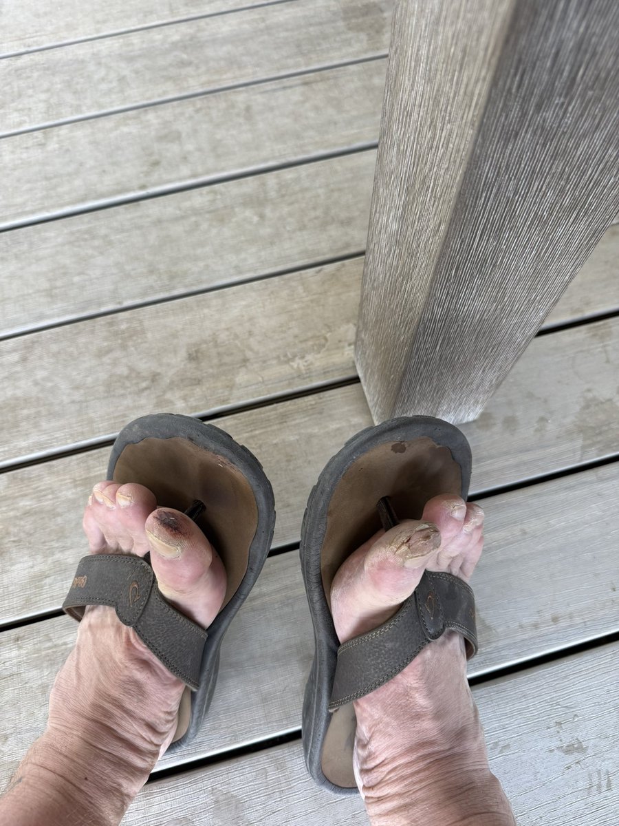 Hoeta Bay tweet media