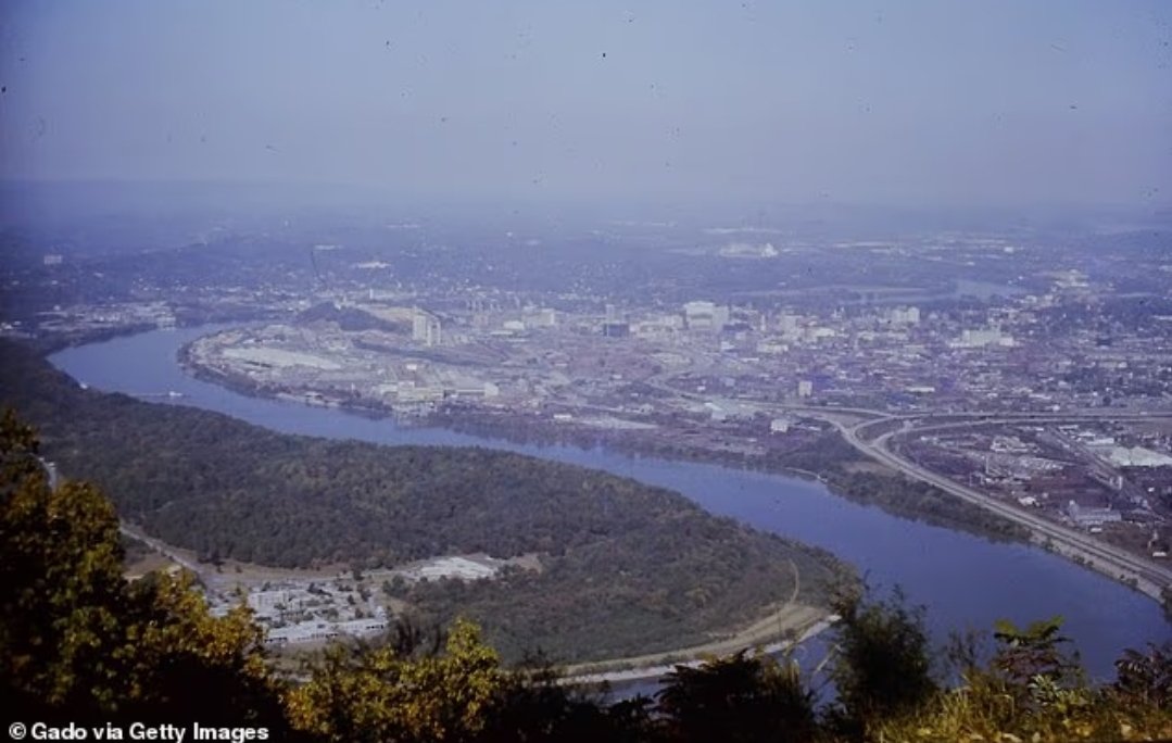 T R U T H P O L E tweet media