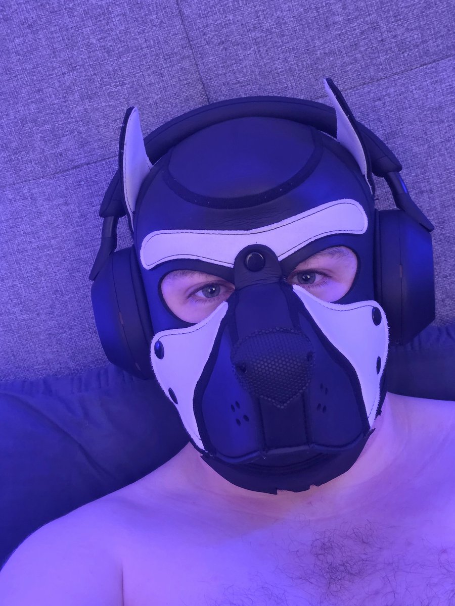 Maniacal Mercury tweet media