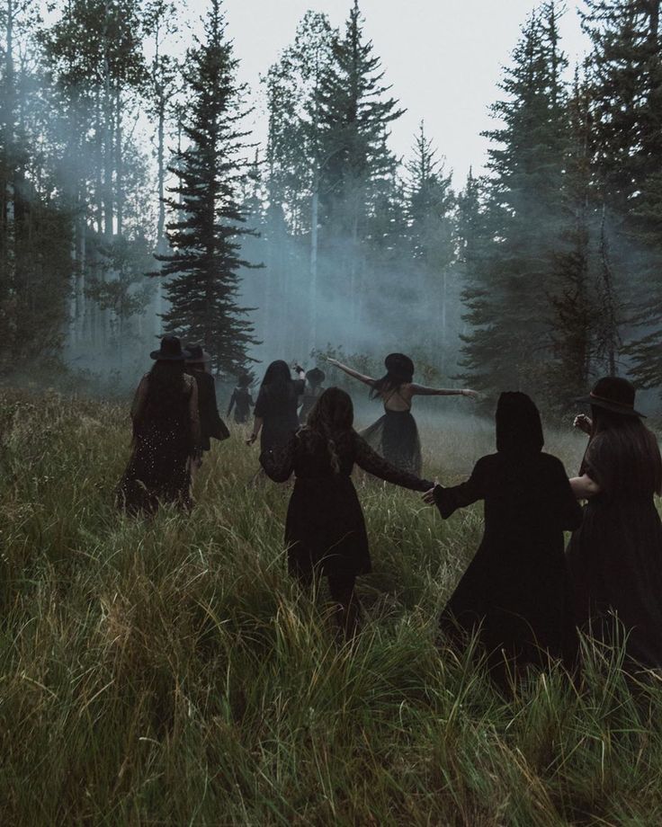 kottigel 🇺🇦 tweet media