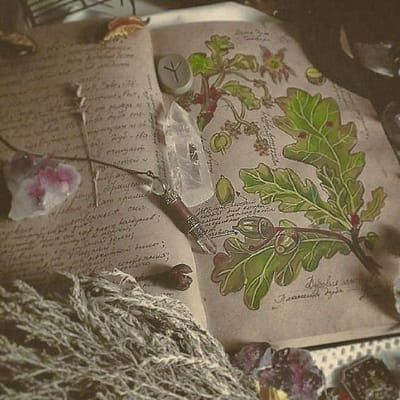 kottigel 🇺🇦 tweet media