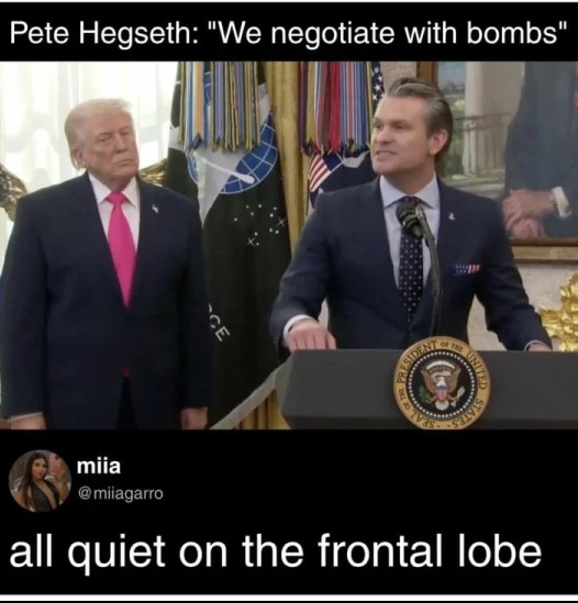 Brown Eyed Susan tweet media