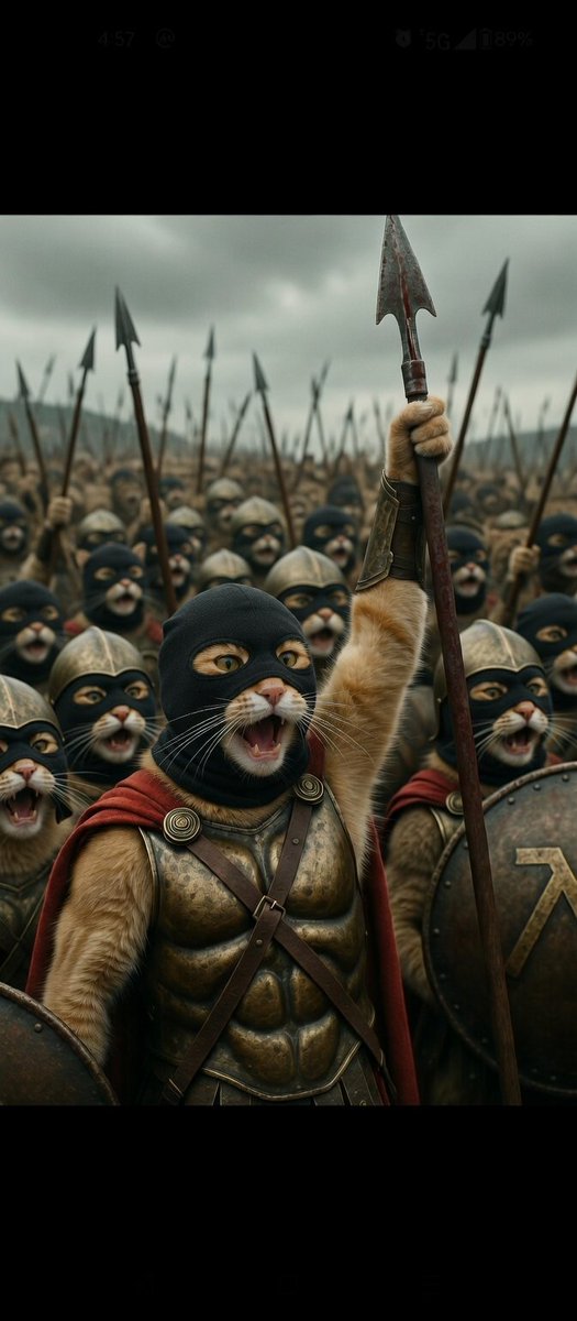 ⚡C@lee⚡ tweet media