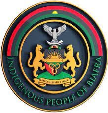 Bia Pulse tweet media