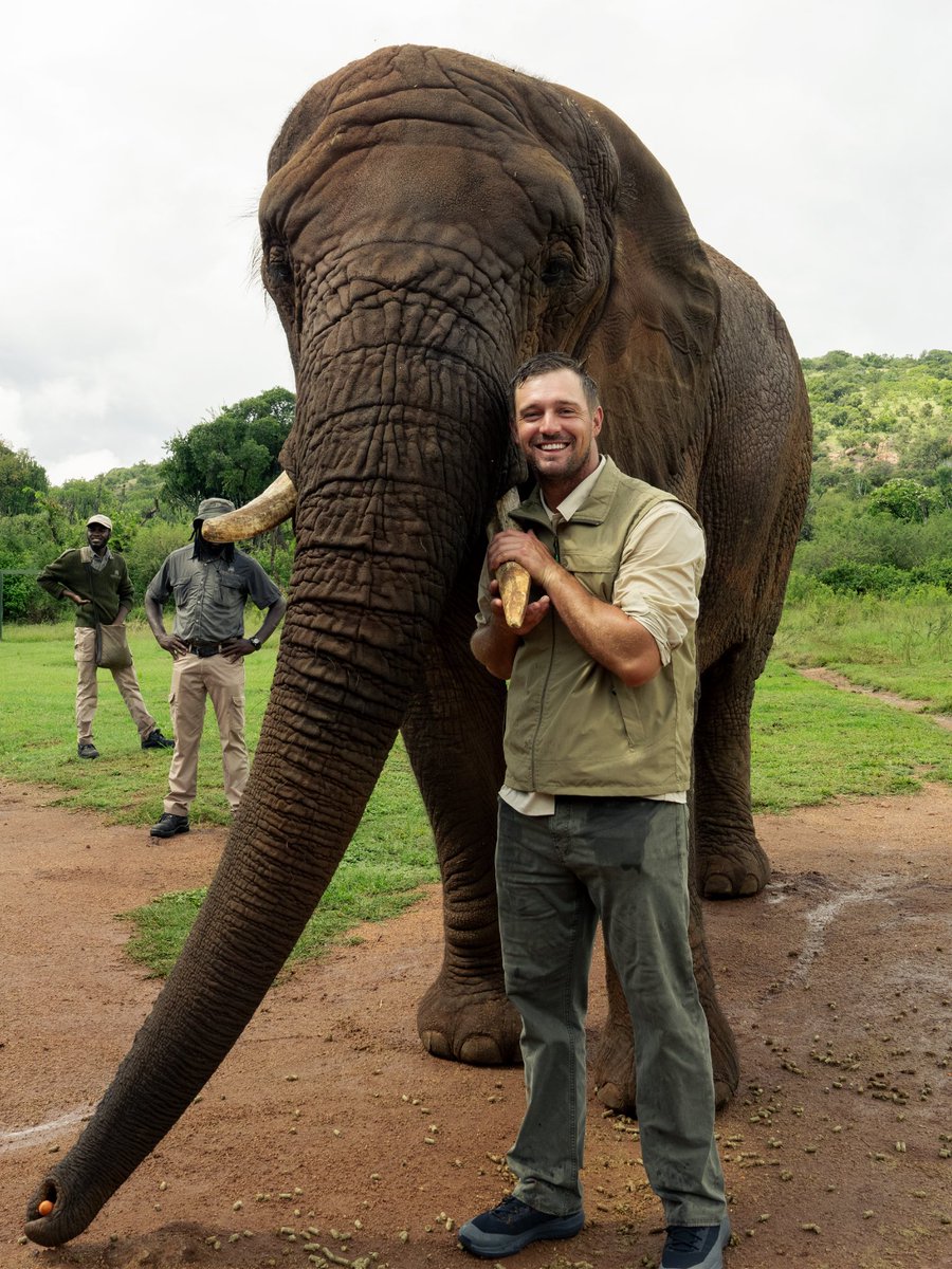 Bryson DeChambeau tweet media