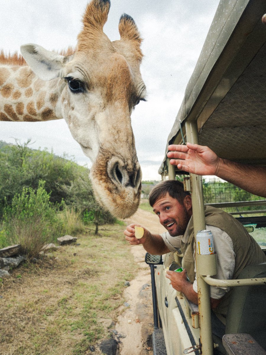 Bryson DeChambeau tweet media