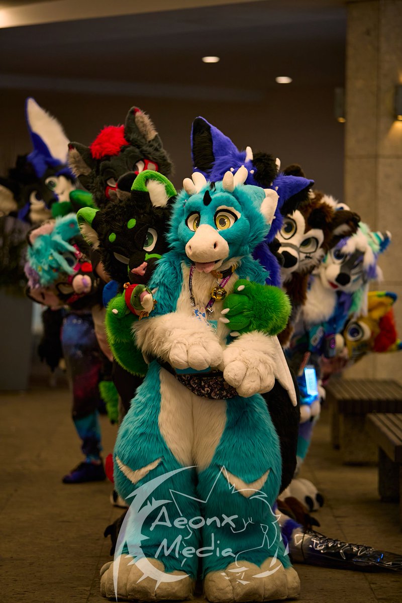 OLA_creations's tweet photo. Fursuit family picture at FE.

Thank you to @aeonx_LR for the amazing pictures you took!

Please keep in my my personal fursuit head is made by @StuffedTailsFur https://t.co/Om5KWFLItu