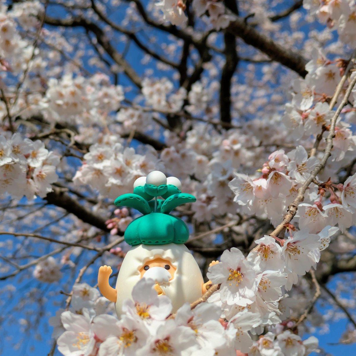 ノームさんの魔法植物園@4月1日開園 tweet media