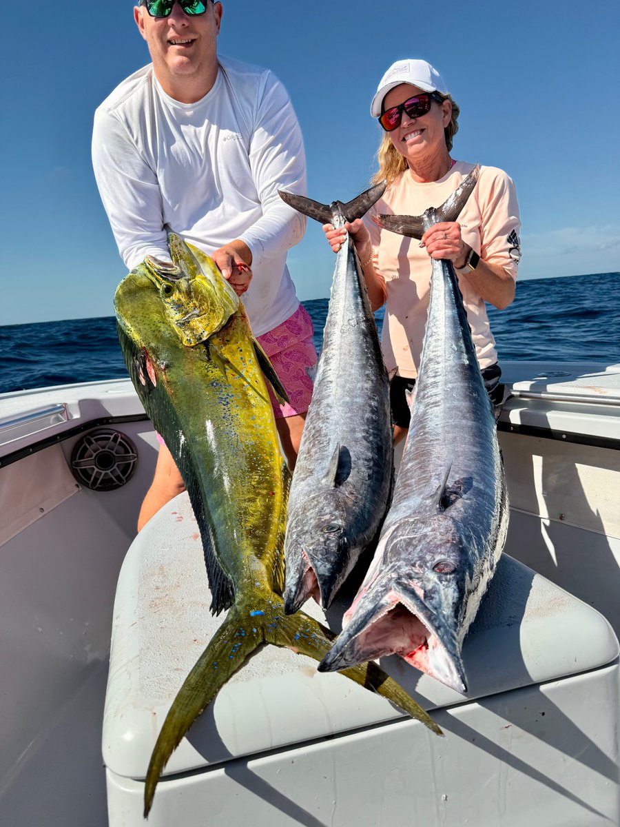 reel_guides's tweet image. Mahi + wahoo catch! Great day in Key West 🎣
#Fishing #KeyWest