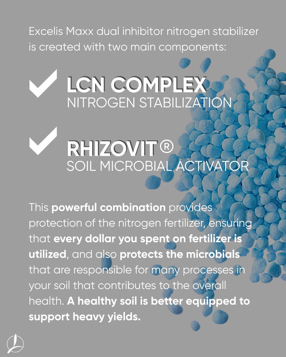 TimacAgroCanada's tweet photo. Every fertilizer dollar matters.

Excelis Maxx protects your nitrogen AND supports soil health with LCN Complex + Rhizovit® .

✔ Protect your investment
✔ Improve nutrient efficiency
✔ Support healthier soils for long term productivity 

You paid for the nitrogen. Protect it. https://t.co/Ywt6xpOvhE