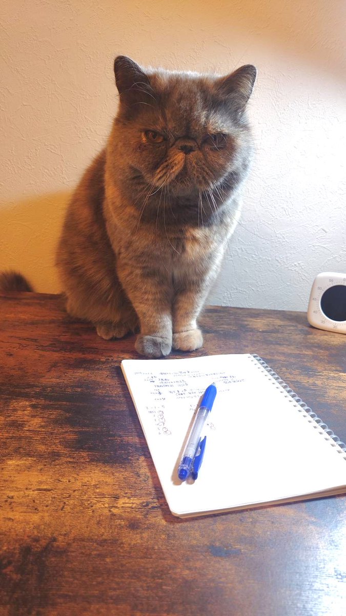 フルタ tweet media