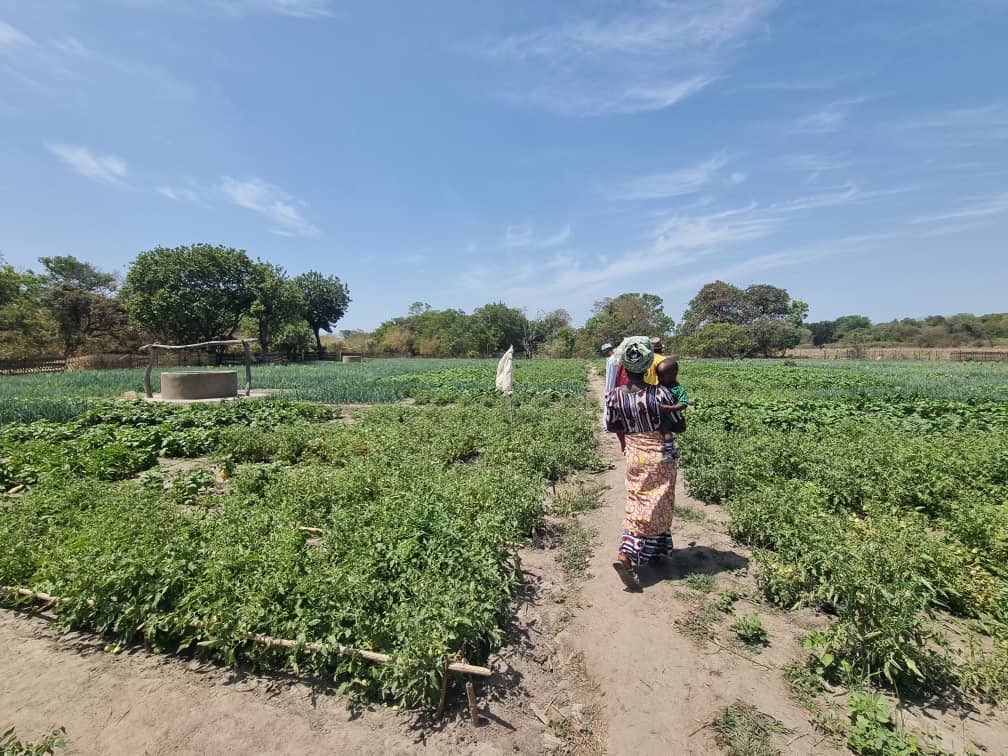 Embajada de España en Guinea Bissau tweet media