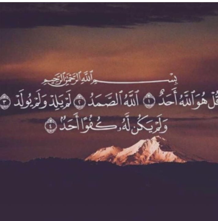 نشمي 🇸 tweet media