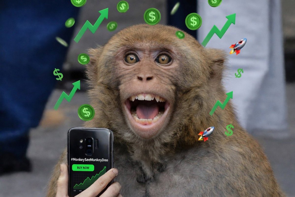 CryptoReddog's tweet image. Pretty soon #MonkeySeeMonkeyDo will be printing money! Buy in and help push this project to the 🌙! $MSMD