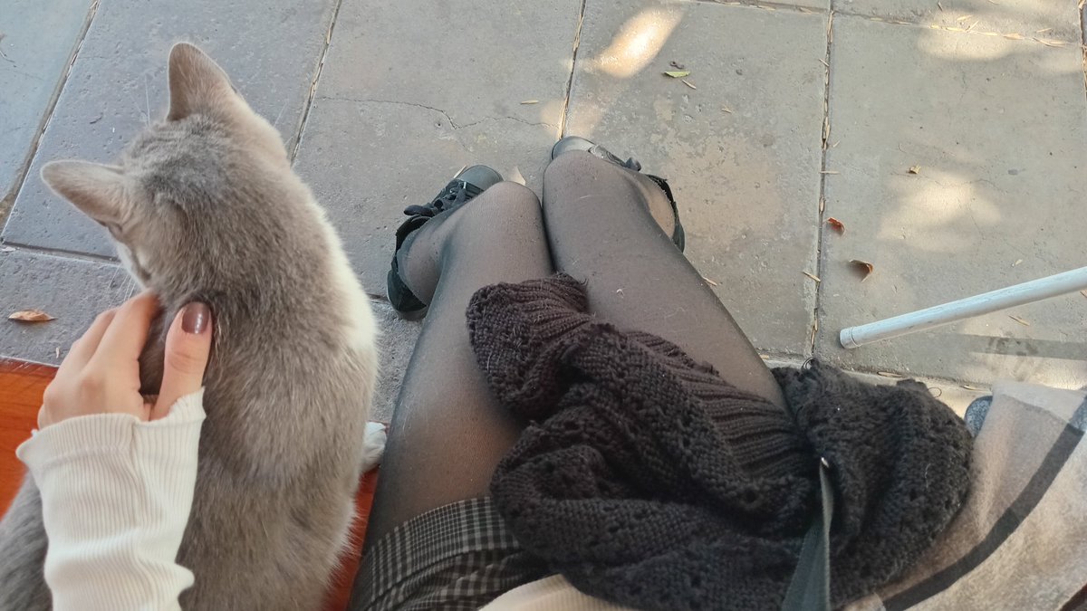 budindepalta tweet media